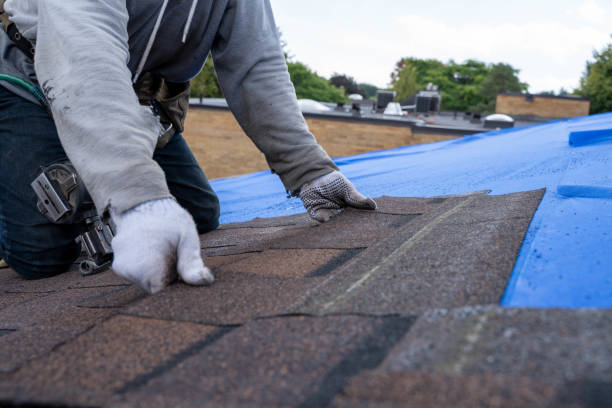 Best Shingle Roofing Installation  in Ravensworth, VA